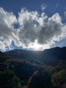 IMG_3192